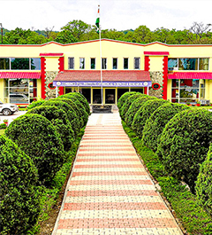 UPES College